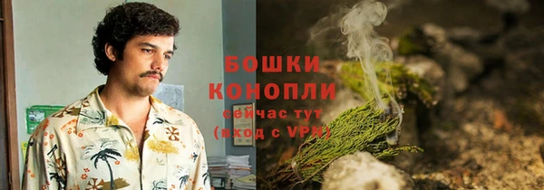 прущие грибы Карпинск