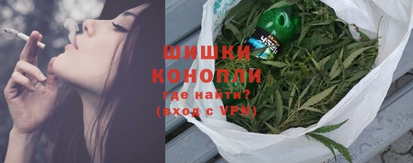 сатива Инсар