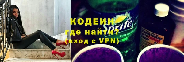 сатива Инсар