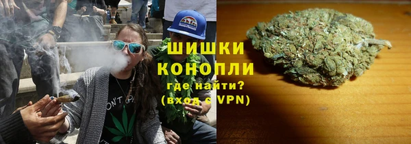 тгк Каменка