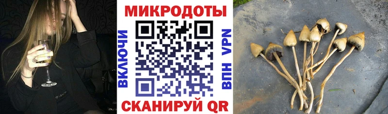 Псилоцибиновые грибы Cubensis  Княгинино 